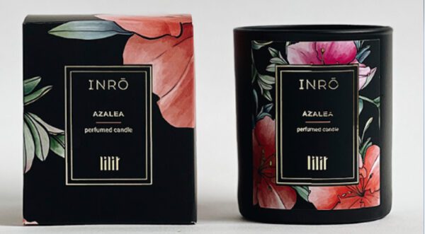 Український-бренд-Inro-об'єднався-з-відомою-художницею-для-порятунку-Ботанічного-саду