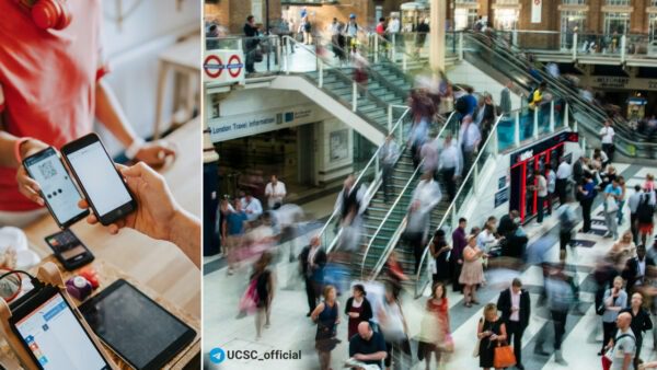 Ритейл-в-топі-напрямків-у-2023-році-українці-відкрили-рекордну-кількість-ФОПів-(інфографіка)