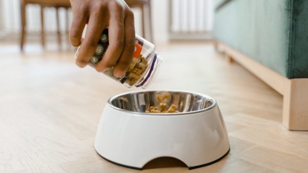 зоотоварів