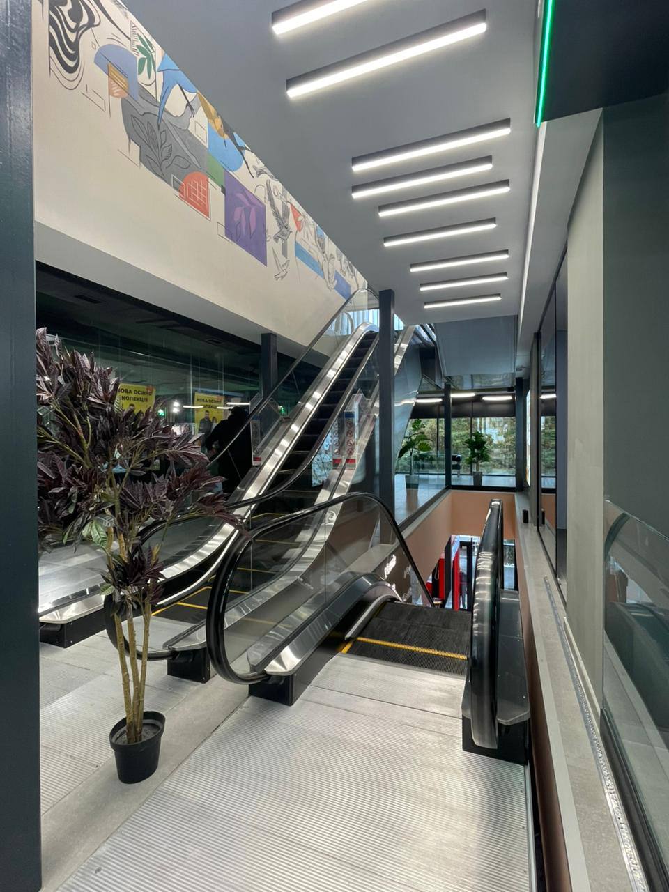 photo 2025 10 13 13 34 10 | 5