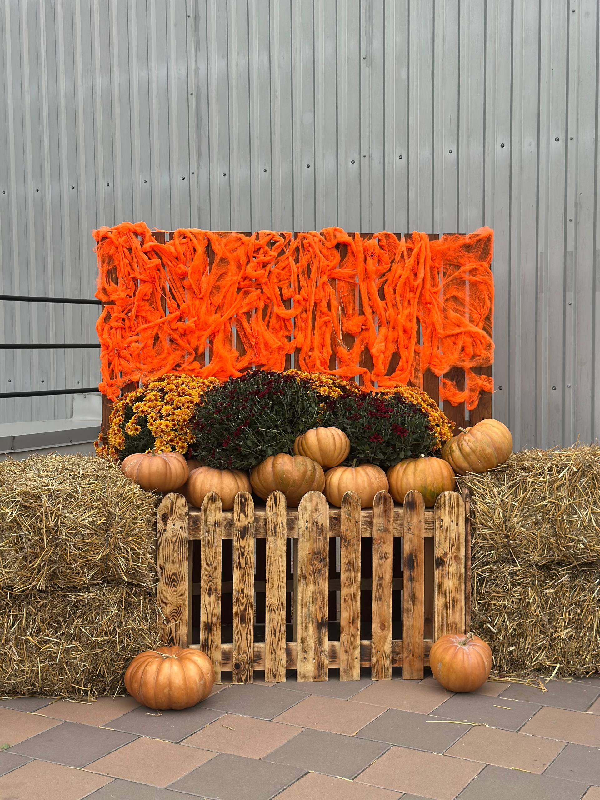 photo 2025 10 27 11 30 26 | 12