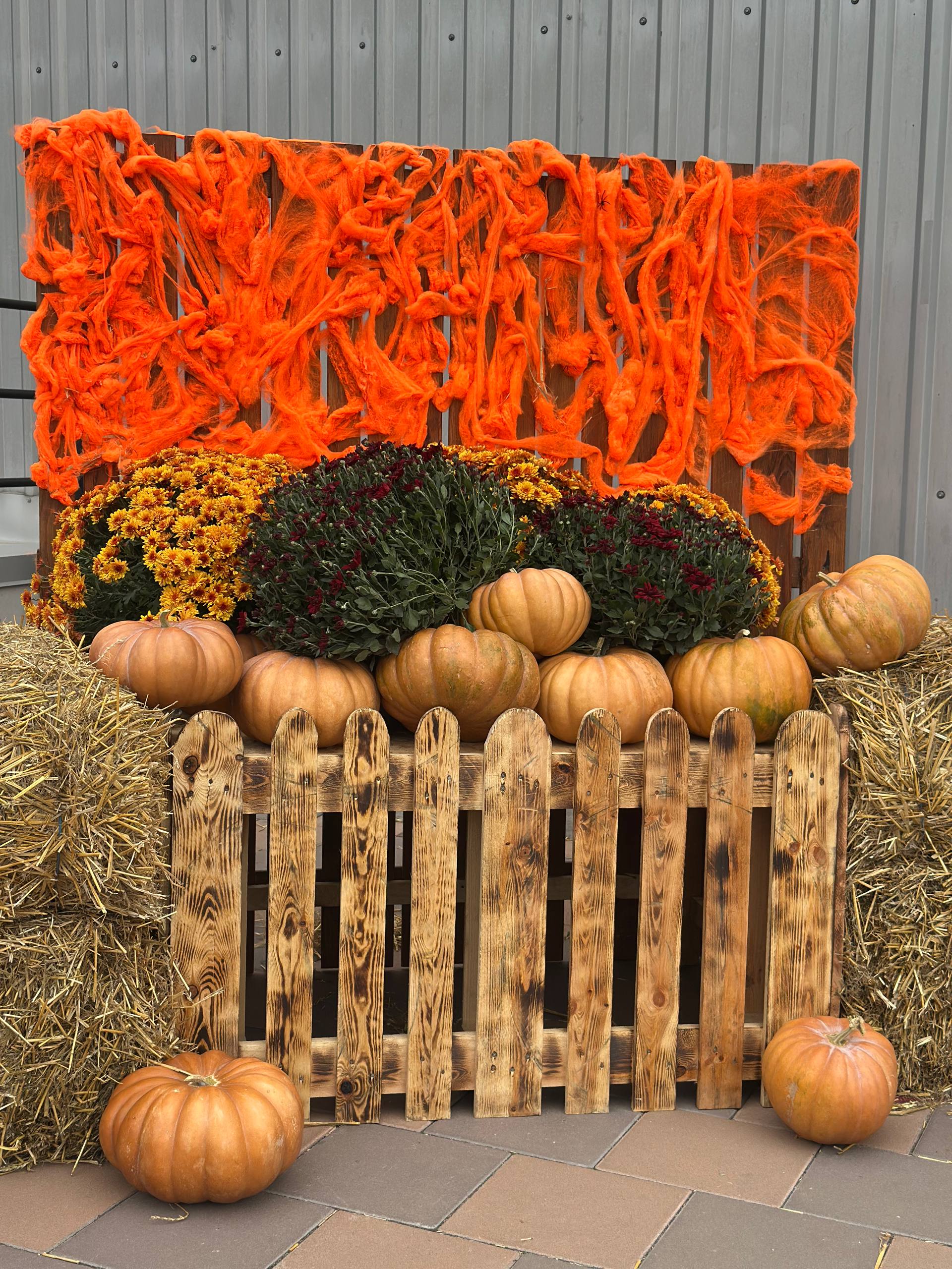 photo 2025 10 27 11 30 38 | 10