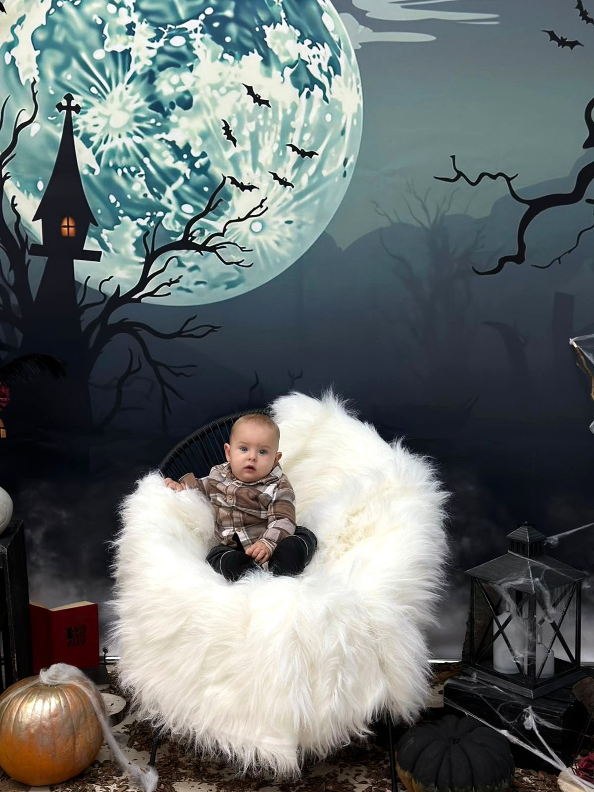 piramida fotozona 1 | 5