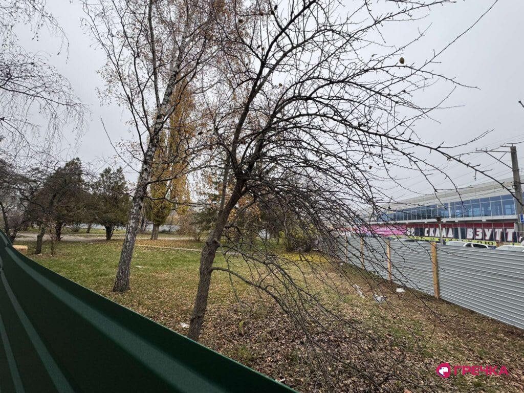 У Кропивницькому може з'явитися ще один McDonald's: що відомо 2 mcdonalds 5 | 1