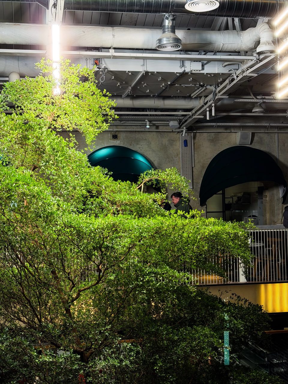 kyiv food market | 1