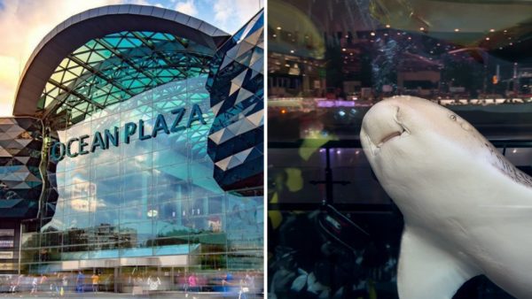 Оушен-Плаза