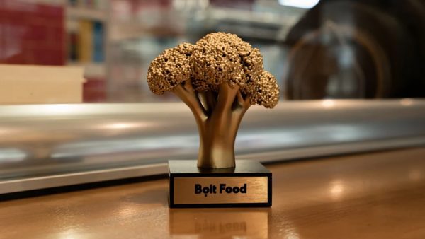 Bolt