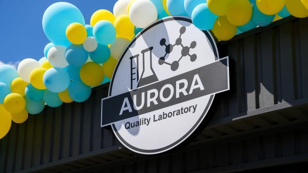 Аврора